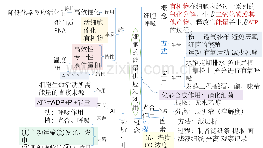 分子与细胞-思维导图.ppt_第2页