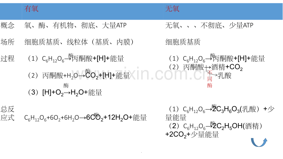 分子与细胞-思维导图.ppt_第3页