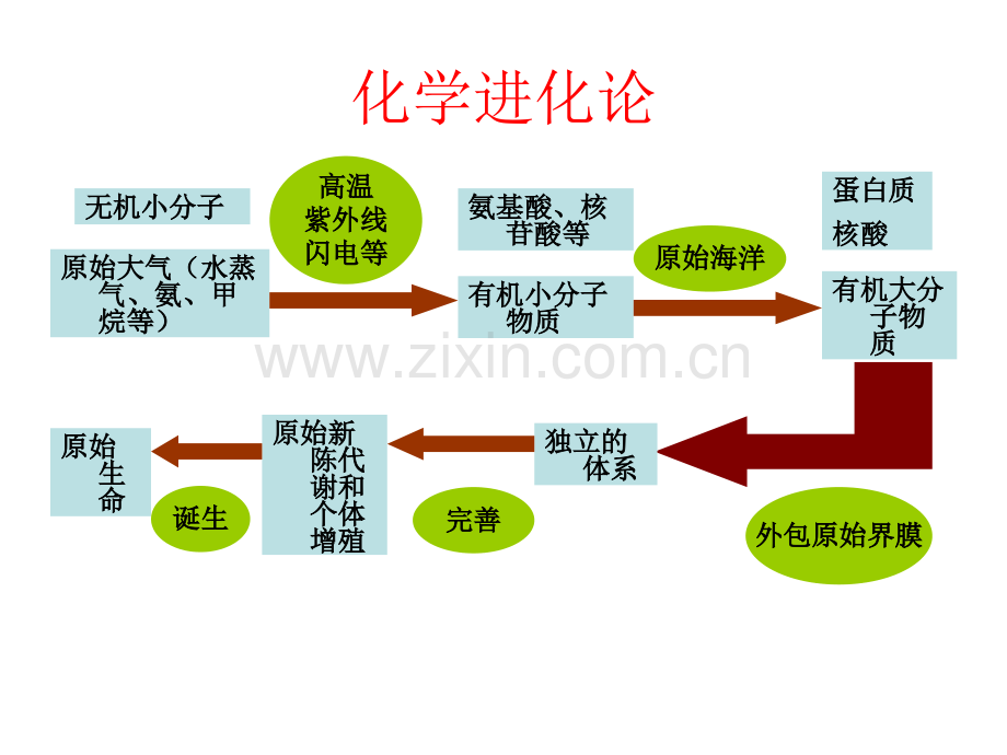 济南版八下第五单元第一章进化和起源总课件.ppt_第2页