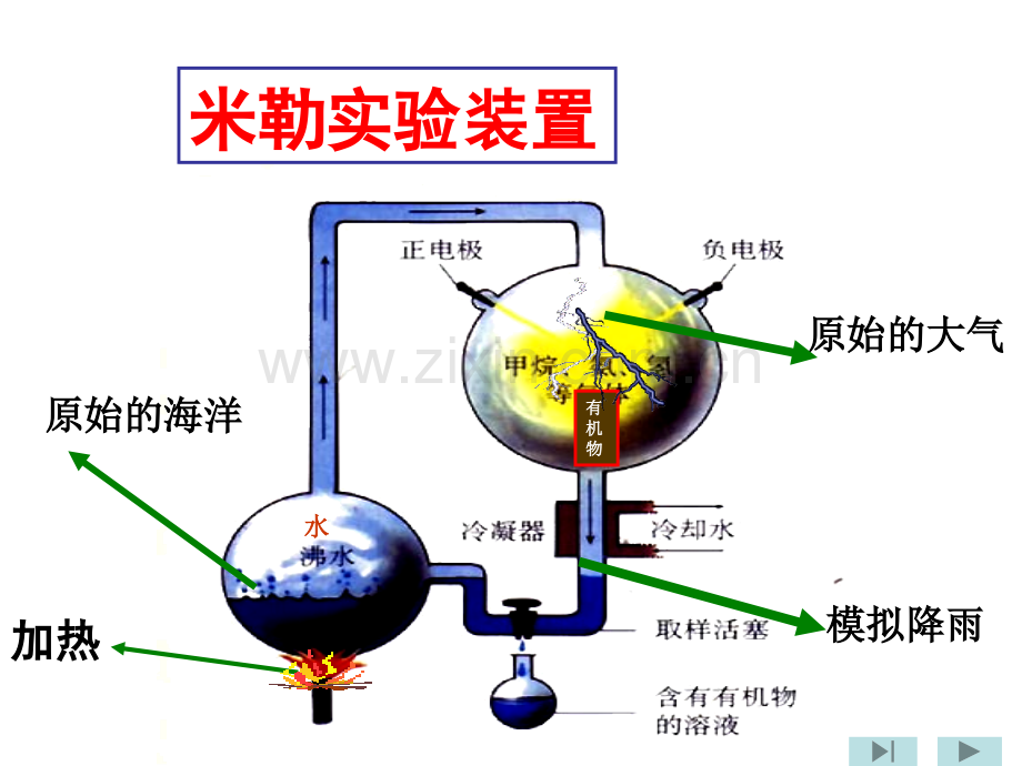 济南版八下第五单元第一章进化和起源总课件.ppt_第3页