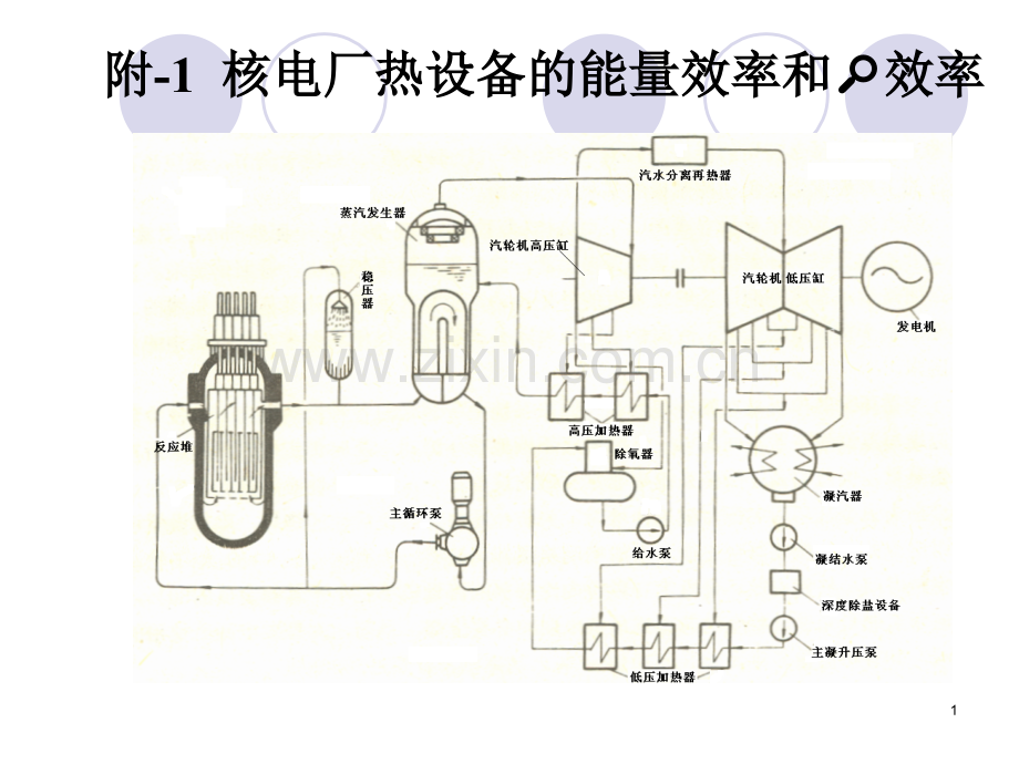 附核电厂蒸汽循环分析.pptx_第1页