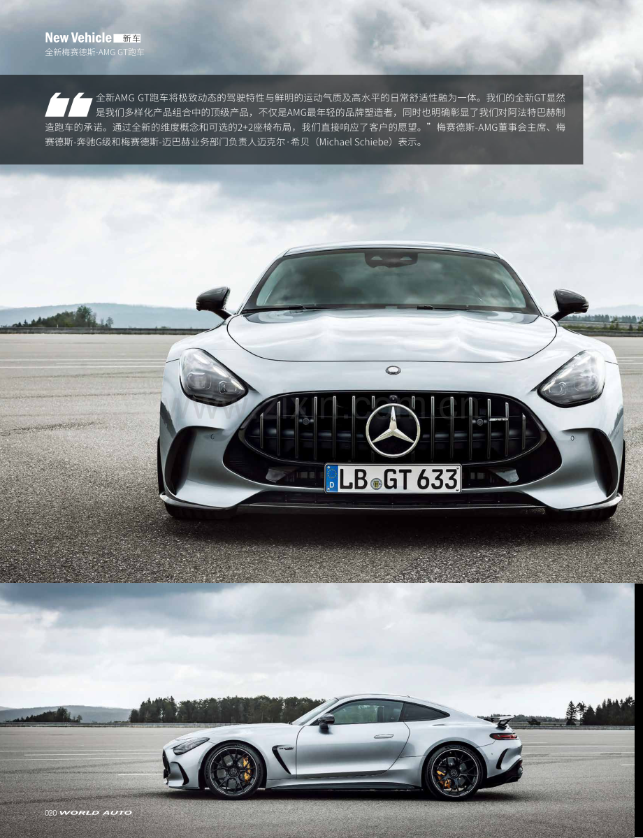 极致动态——全新梅赛德斯-AMG GT跑车.pdf_第3页