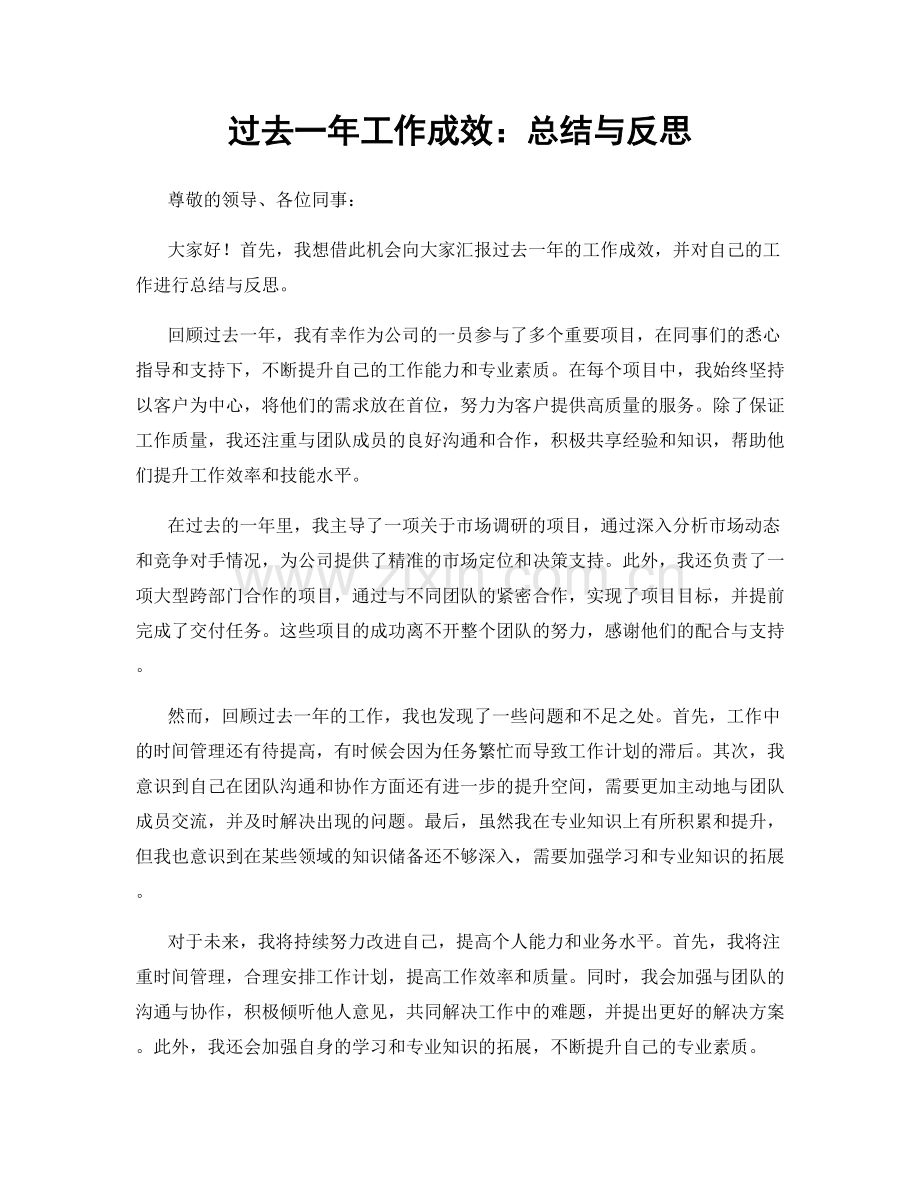 过去一年工作成效：总结与反思.docx_第1页