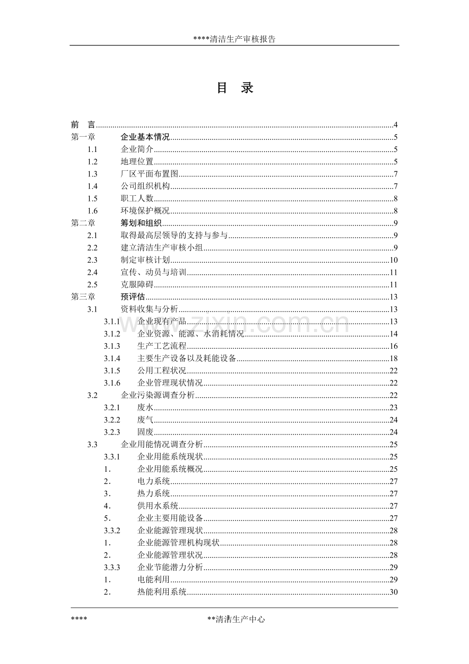 某企业清洁生产审核报告.doc_第1页