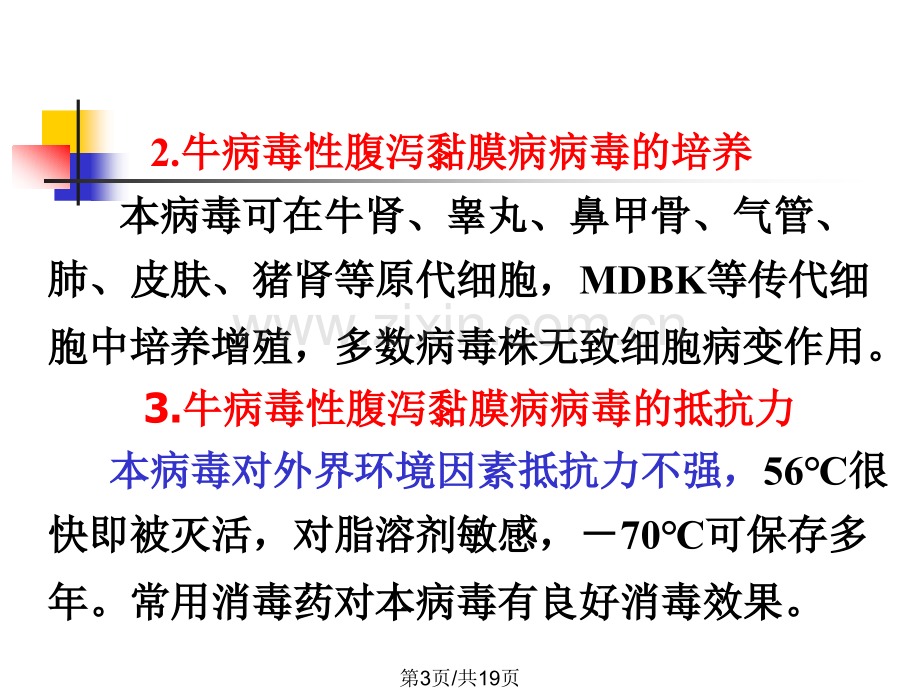 牛病毒性腹泻粘膜病.pptx_第3页