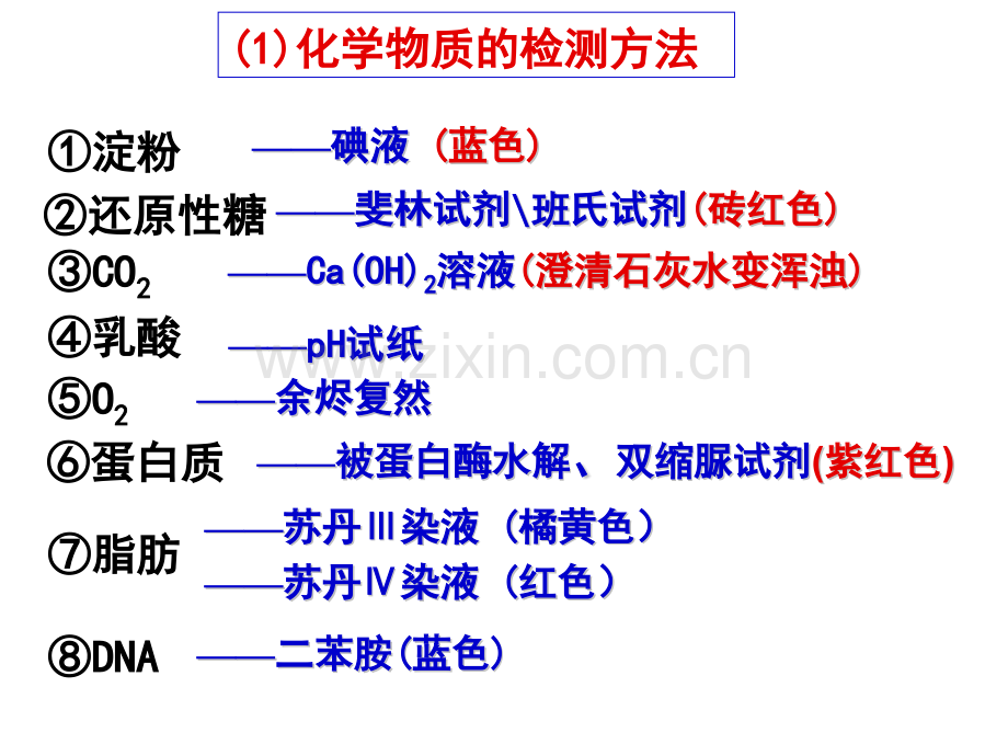 高三生物实验专题复习1.pptx_第3页