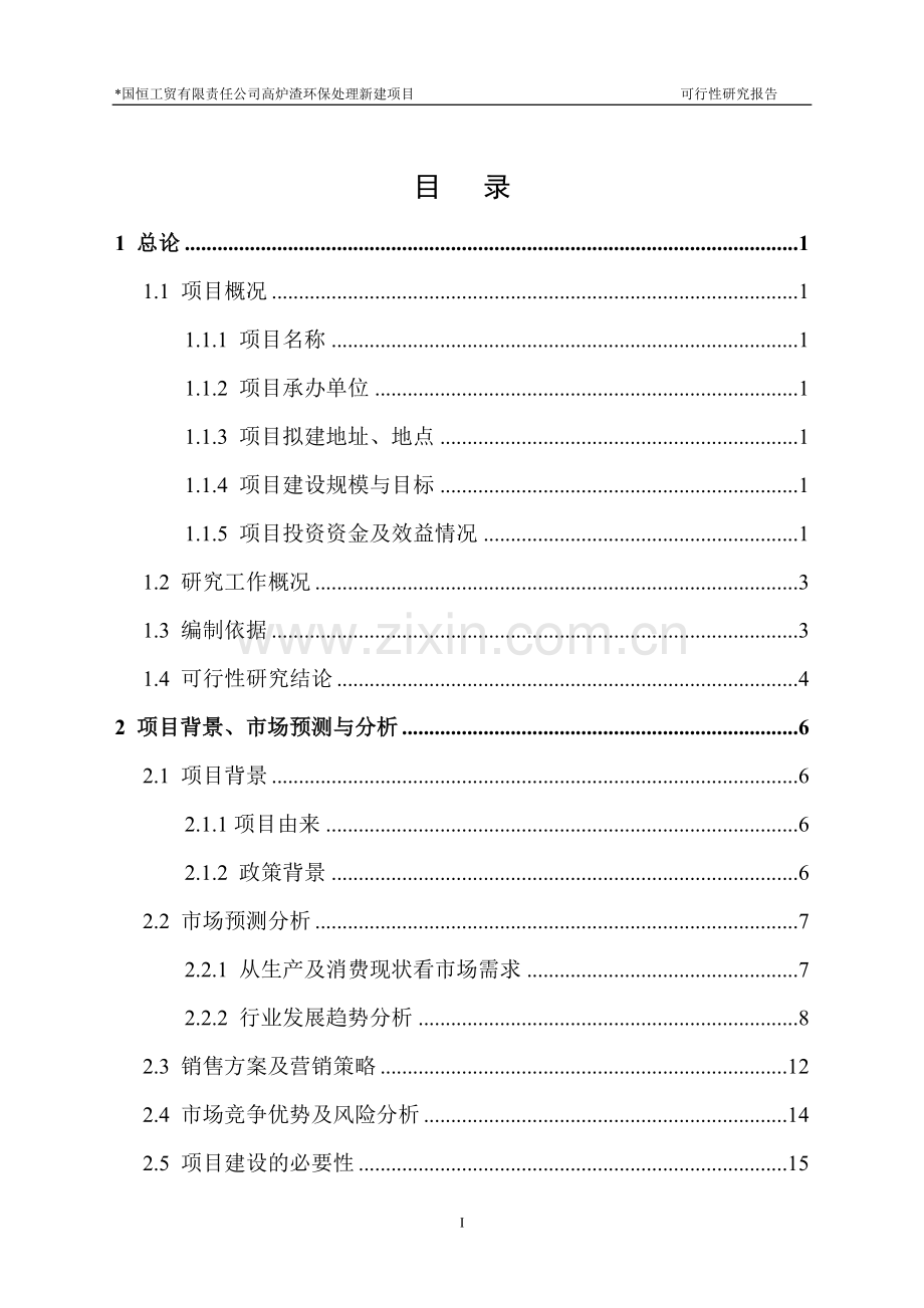 西昌高炉渣环保处理新建项目投资可行性研究论证报告.doc_第2页