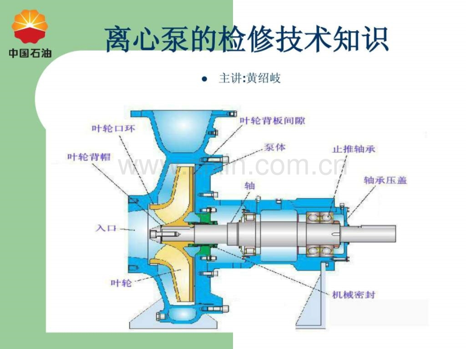 离心泵的结构基础知识.pptx_第1页