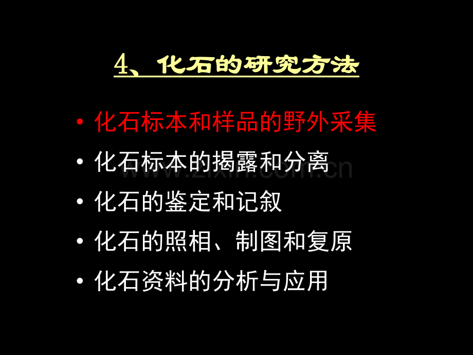 古生物学研究的方法与手段.pptx_第2页