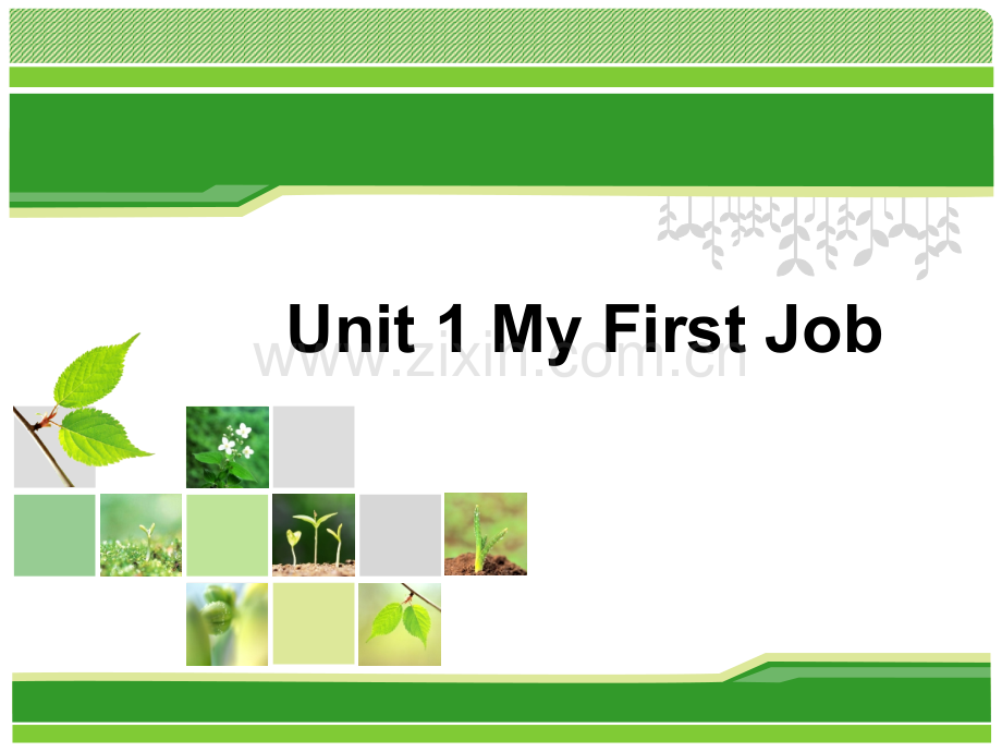 综合英语教程1Unit1MyfirstjobPart1.pptx_第1页