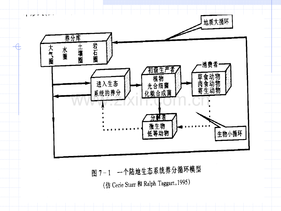 生态系统中的物质循环资料.pptx_第3页