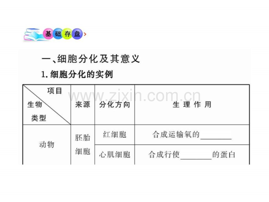 细胞的分化新人教版必修.pptx_第3页