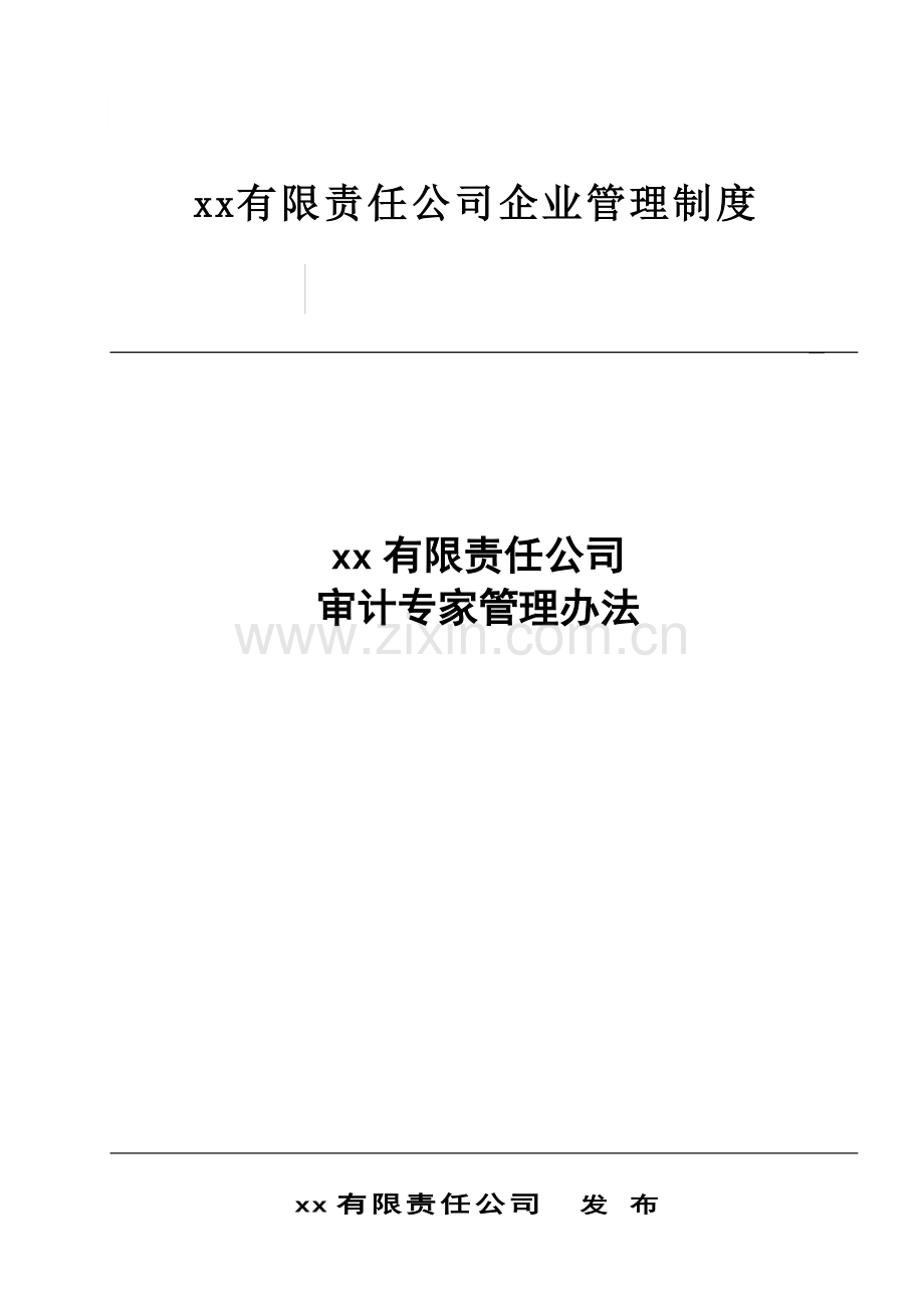 公司审计专家管理办法.doc_第1页