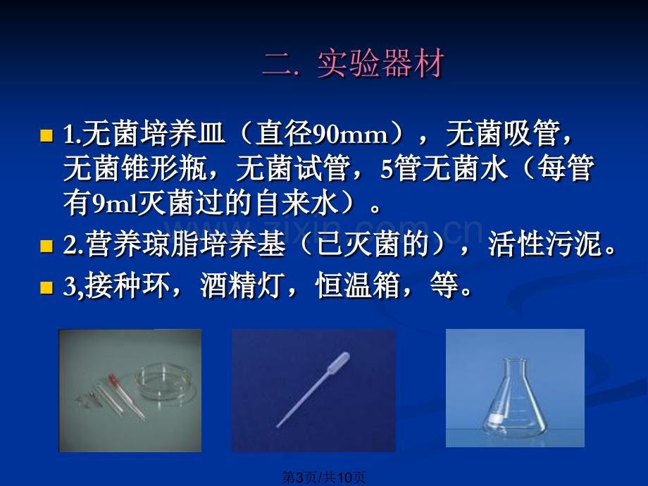 微生物的纯种分离培养及接种技术.pptx_第3页