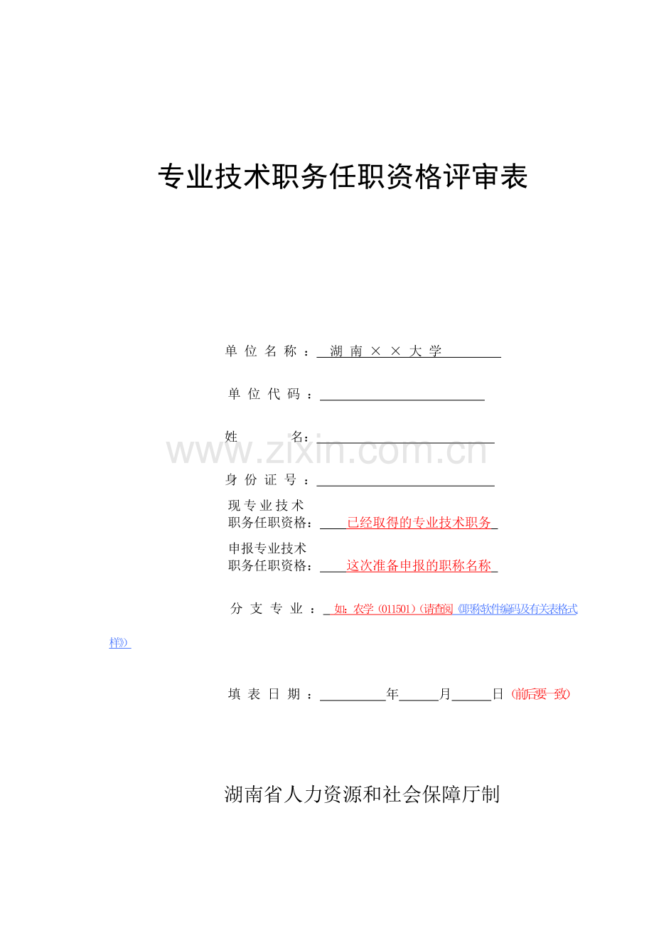 湖南省专业技术职务任职资评审表填写说明.doc_第1页