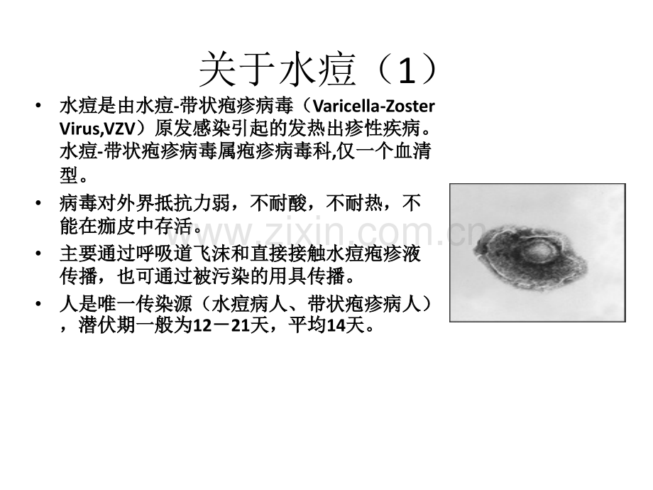 水痘监测方案培训医学PPT课件.ppt_第2页