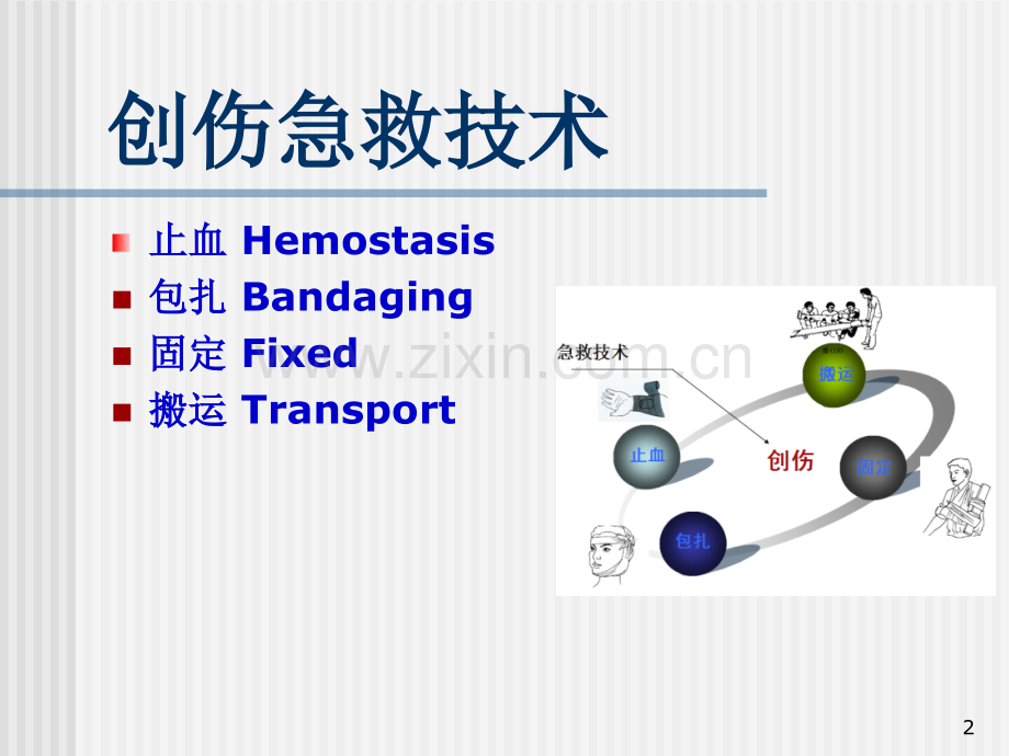 急救四项技术.pptx_第2页