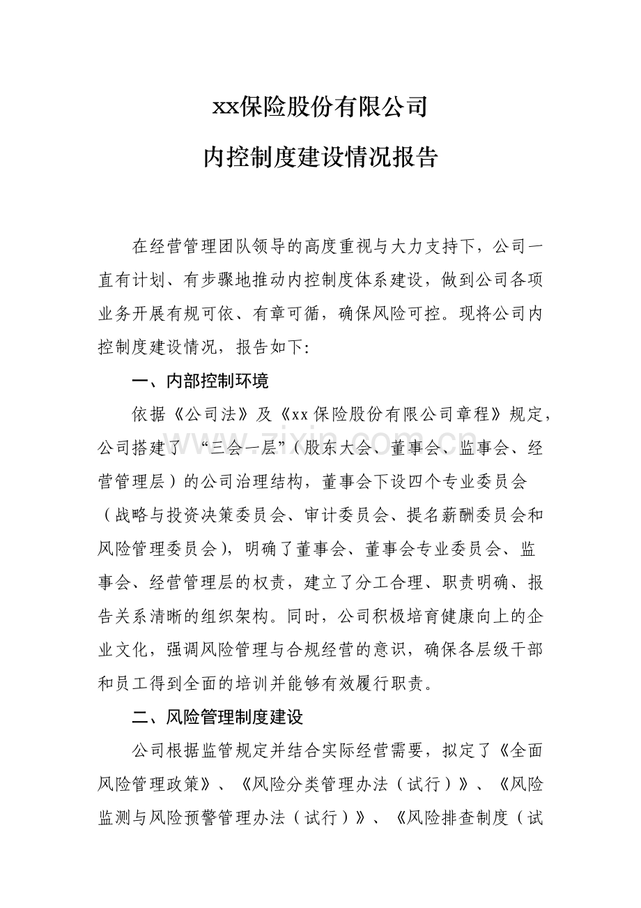 人寿保险公司内控制度建设情况报告模版.docx_第1页