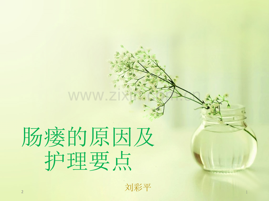 肠瘘的原因及术后护理幻灯片.ppt_第1页