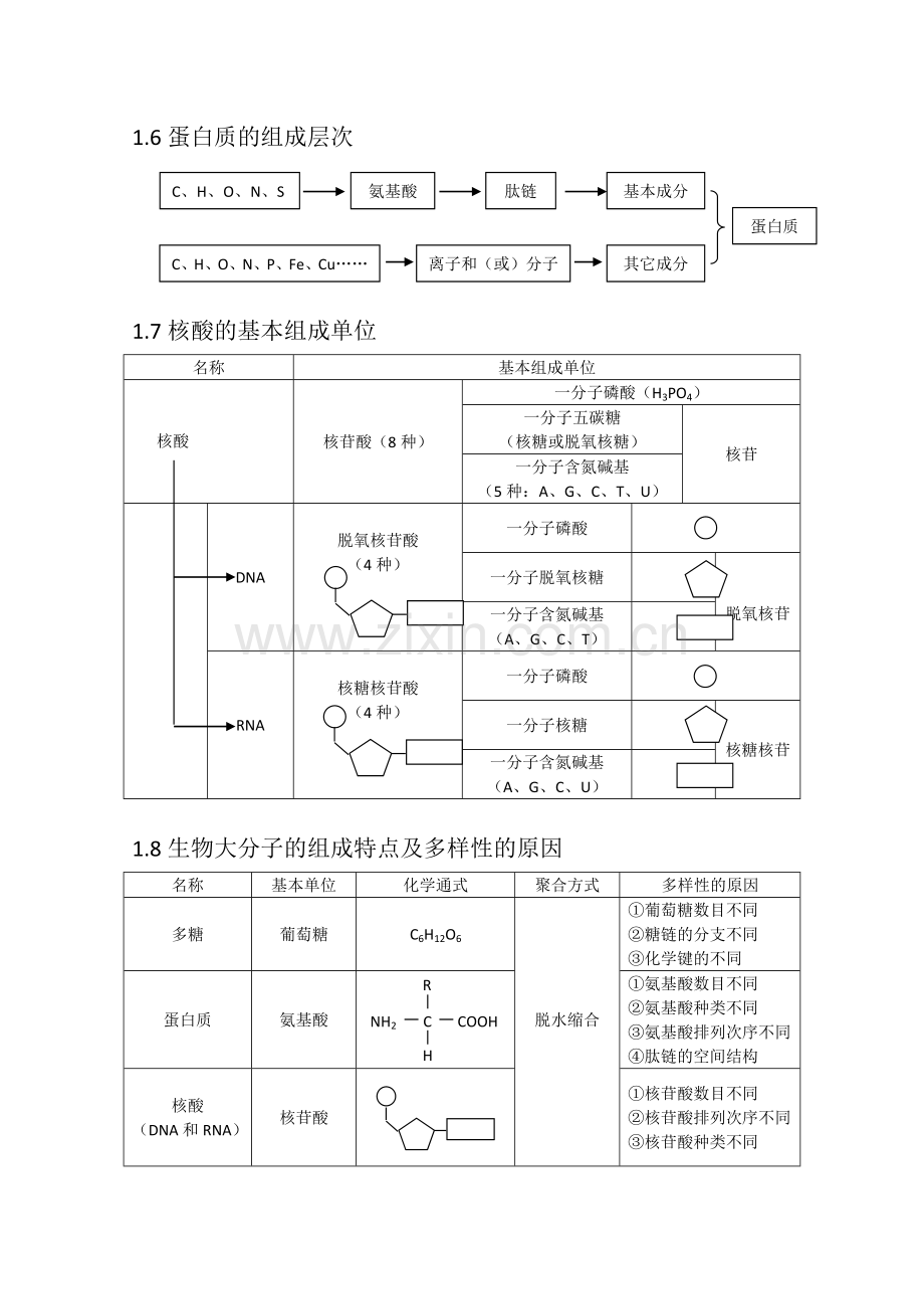 高三一轮复习生物知识结构网络图.doc_第3页