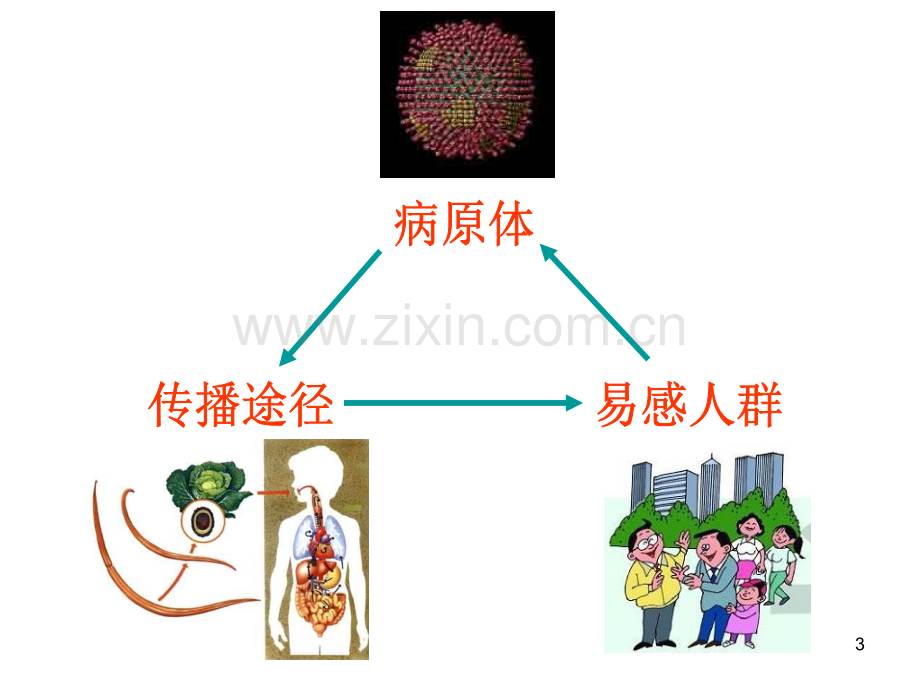 常见传染病及其预防PPT幻灯片课件.ppt_第3页