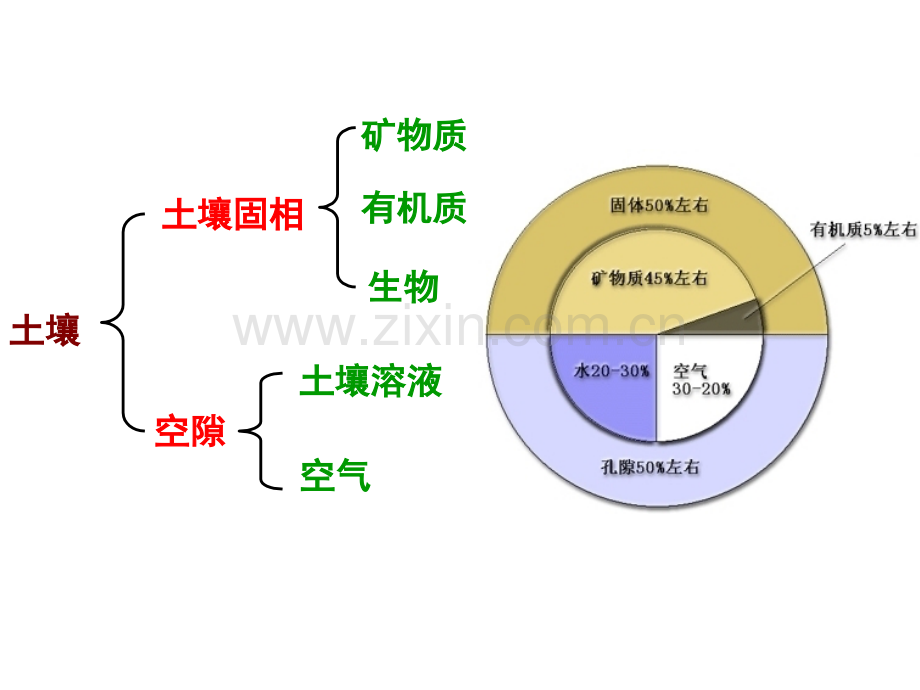 第6章-土壤质量监测.pptx_第3页