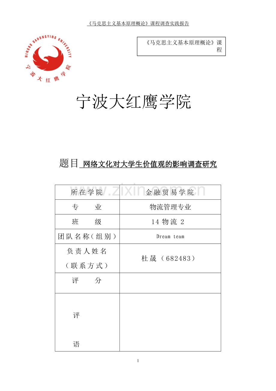 网络文化对价值观的影响调查报告马克思主义基本原理概论》课程调查实践报告-大学毕业设计.doc_第1页