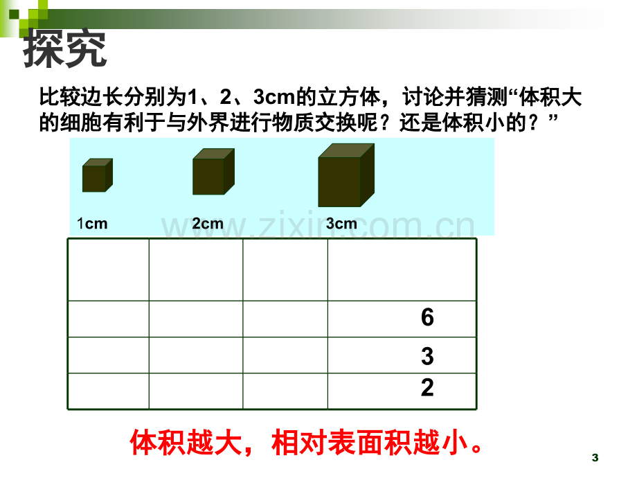 细胞增殖比赛(课堂PPT).ppt_第3页