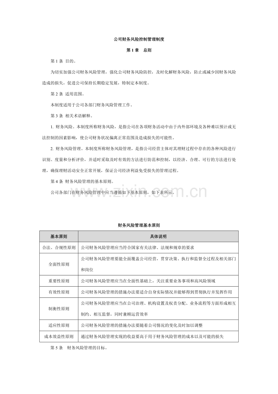 公司财务风险控制管理制度模版.docx_第1页