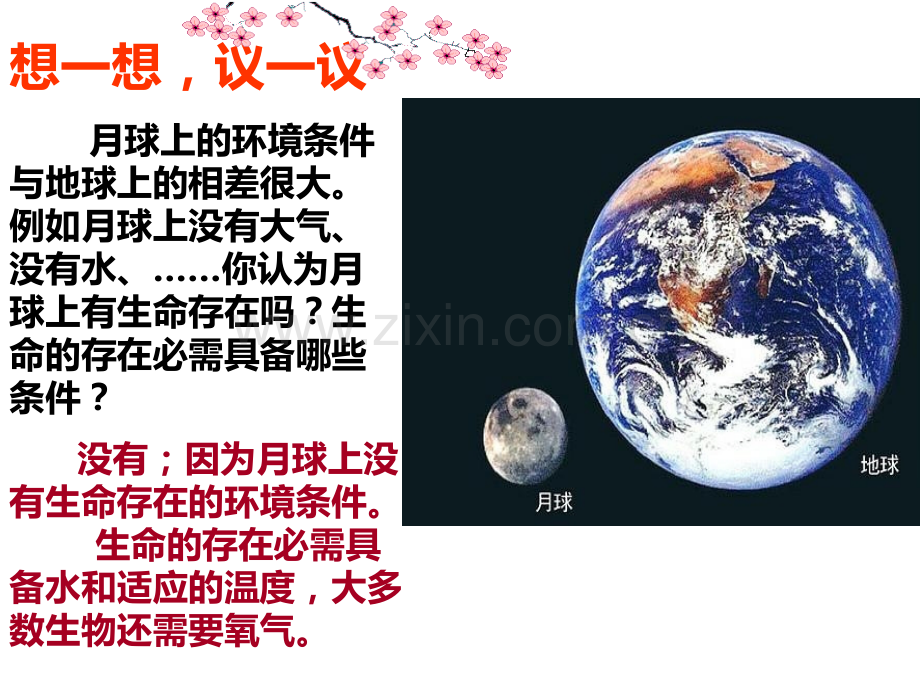 生命的起源和生物进化地球上生命的起源.pptx_第1页