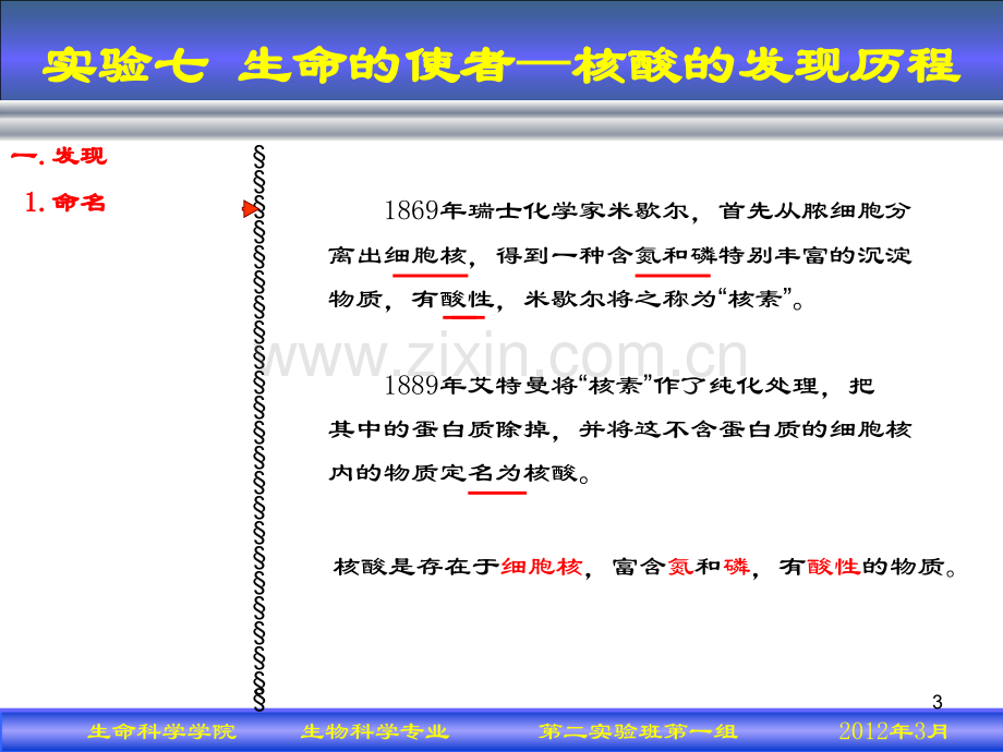 生物教学论-核酸的发现历程(课堂PPT).ppt_第3页