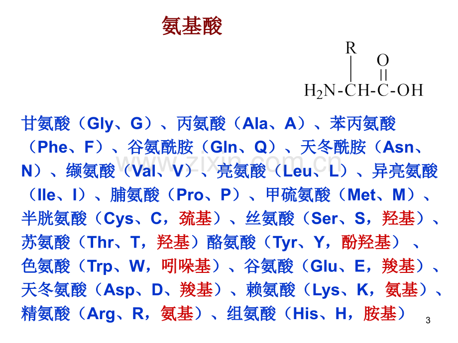 多肽合成与生物活性肽幻灯片.ppt_第3页