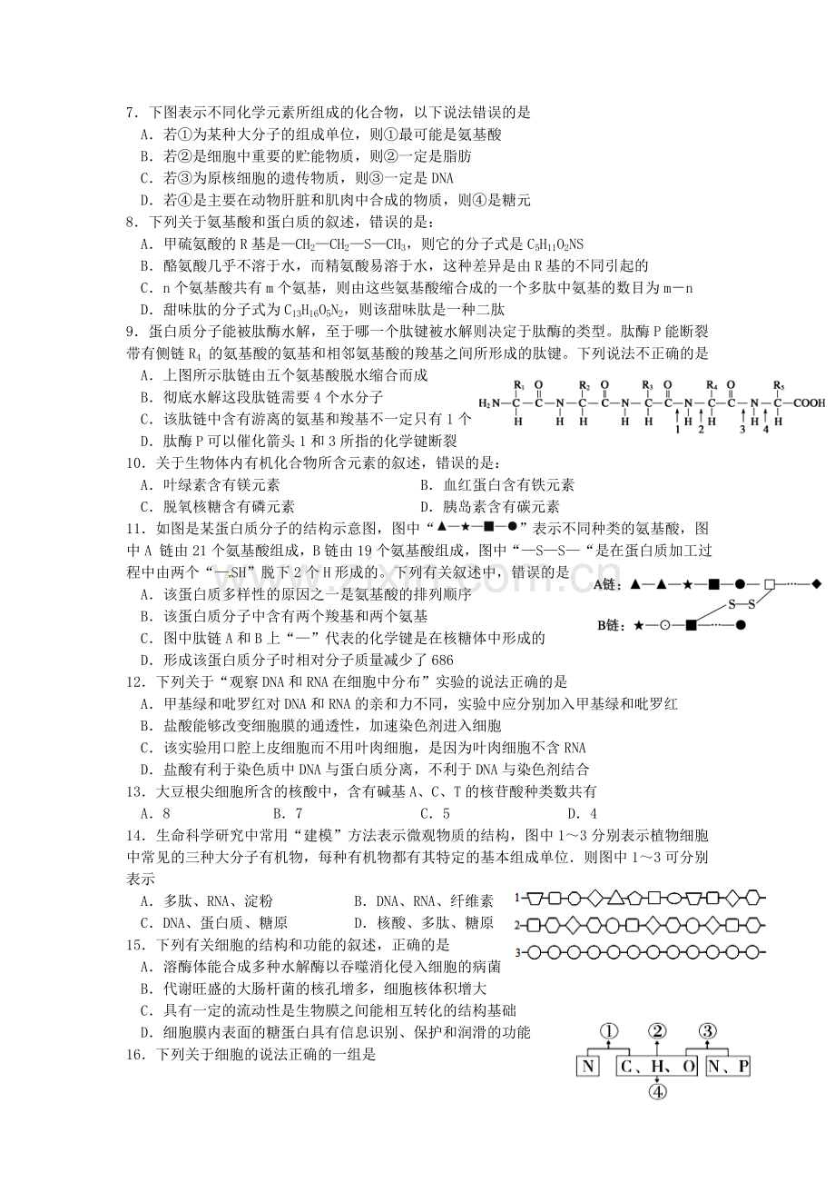 高一生物上学期第13周试题.doc_第2页