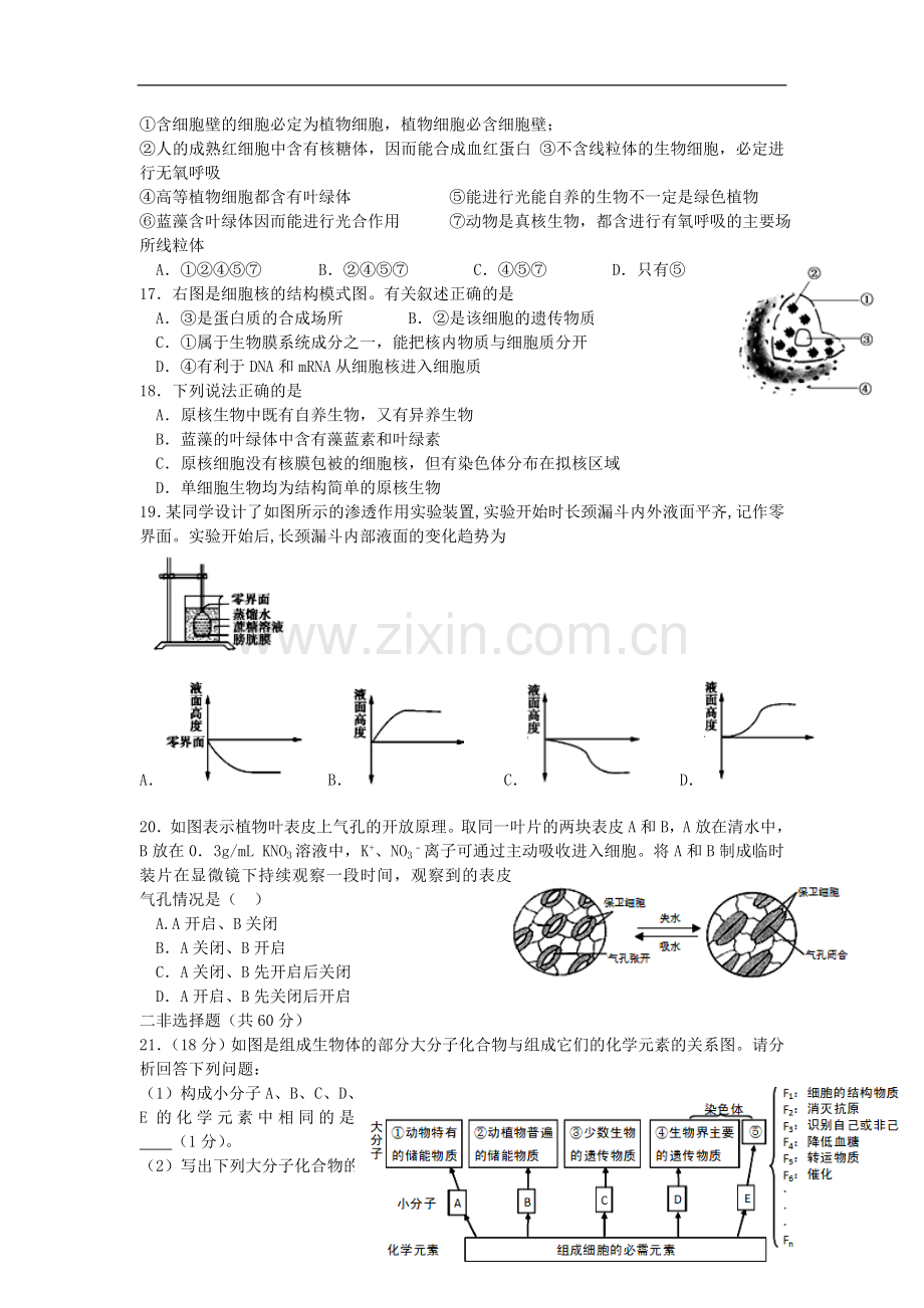 高一生物上学期第13周试题.doc_第3页