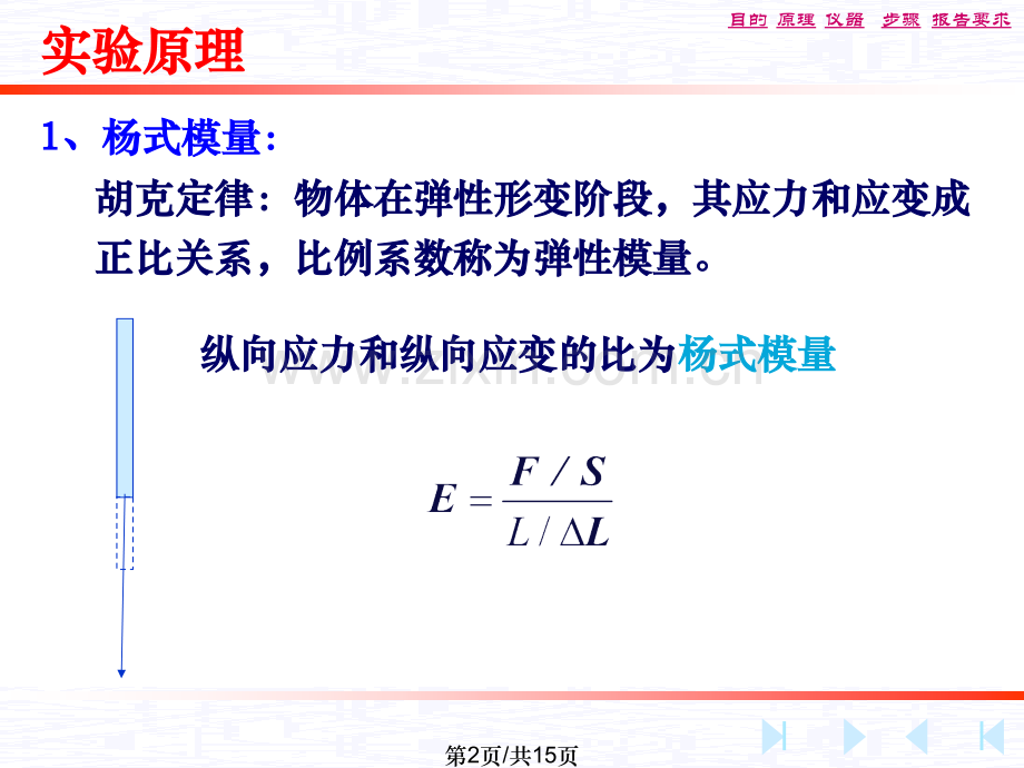 大学物理实验杨氏模量.pptx_第2页