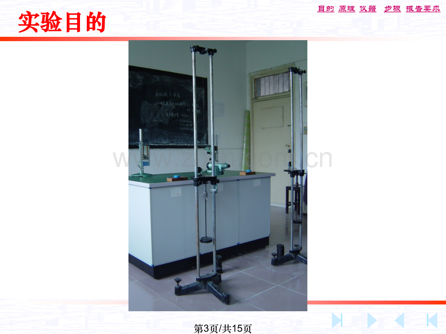 大学物理实验杨氏模量.pptx_第3页