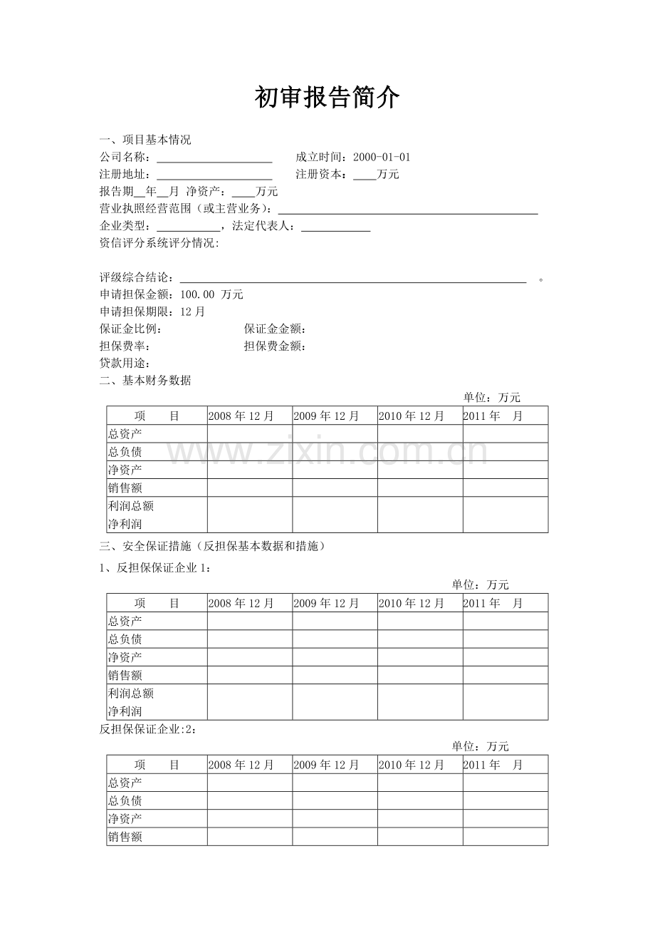 融资性担保公司项目初审报告.doc_第2页