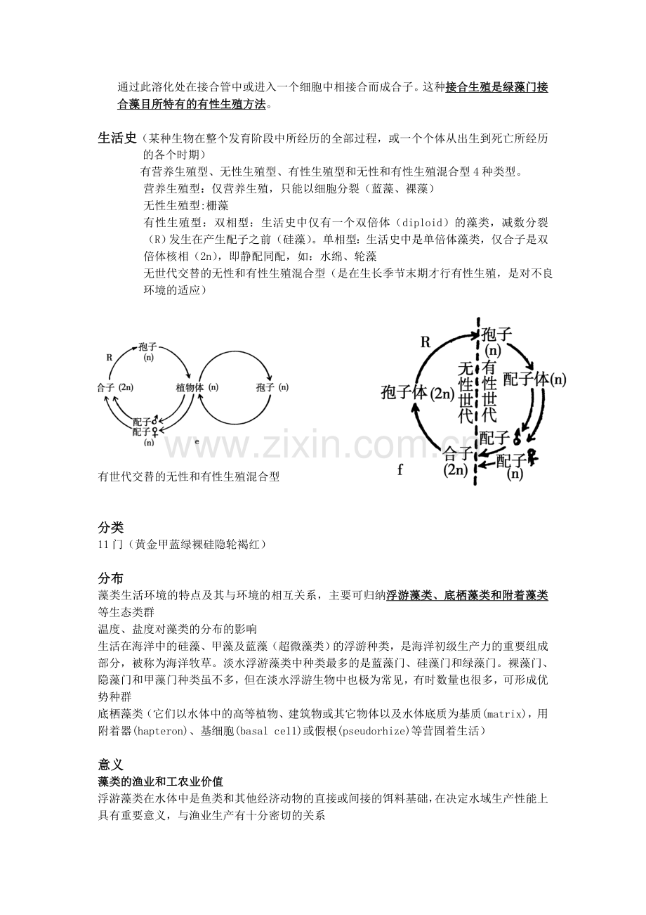 版水生植物期末复习资料.doc_第3页