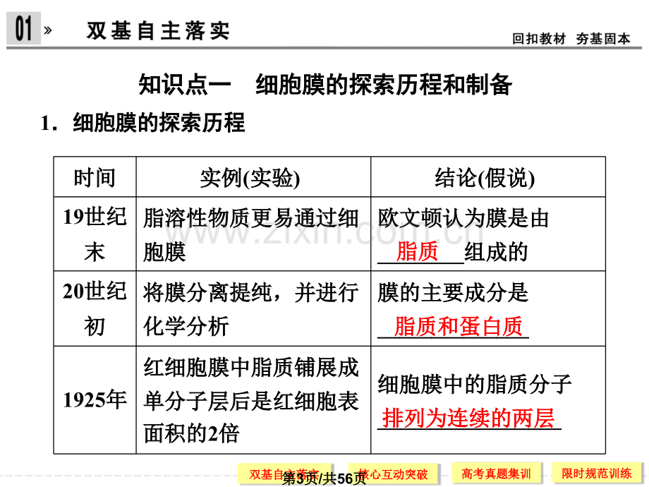 细胞膜系统的边界流动镶嵌模型与细胞核.pptx_第3页