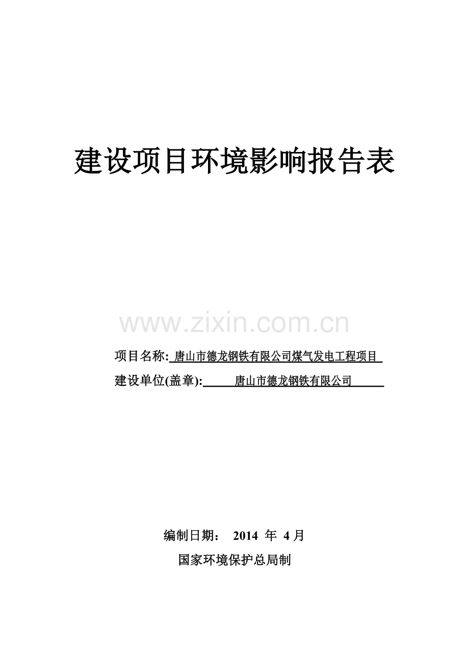 德龙钢铁有限公司煤气发电工程项目立项环境影响评估报告书.doc_第1页