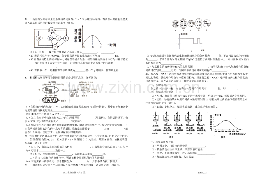 江苏省学业水平测试生物模拟试题2.doc_第3页