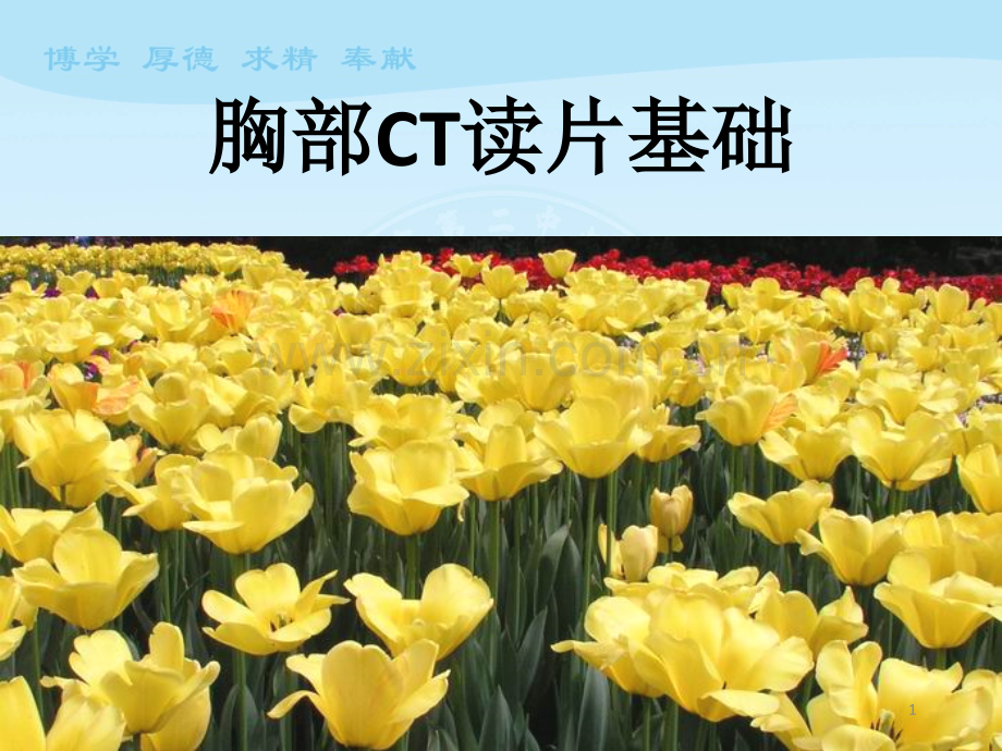 胸部CT读片基础PPT课件.ppt_第1页