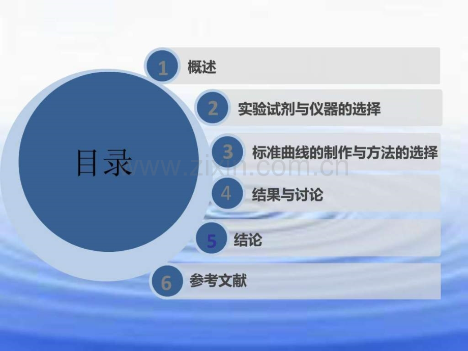 直接分光光度法测定高铁酸盐的含量.pptx_第2页