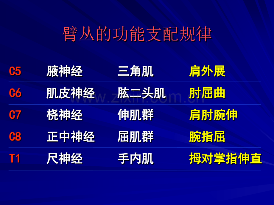 臂丛损伤的常用手术方式和护理探讨护理讲课.pptx_第3页