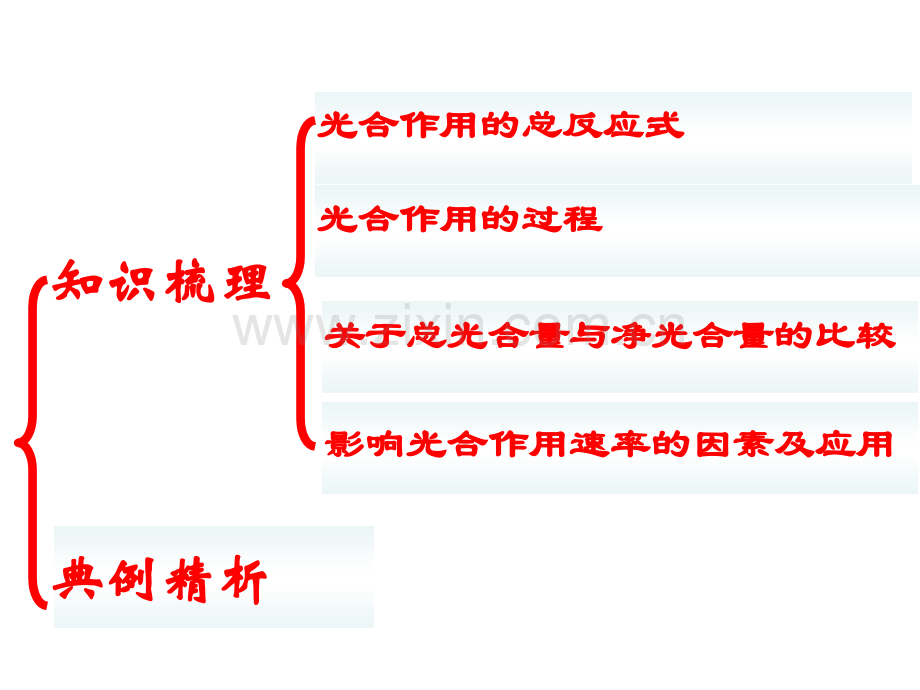 高三生物光合作用.pptx_第3页