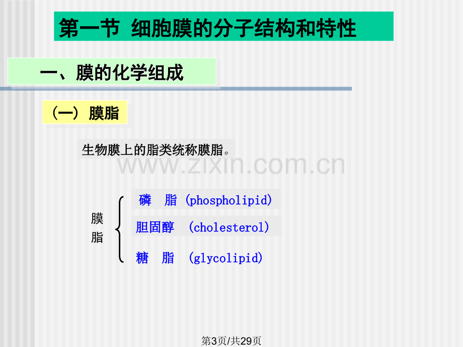 细胞膜及其表面1.pptx_第3页