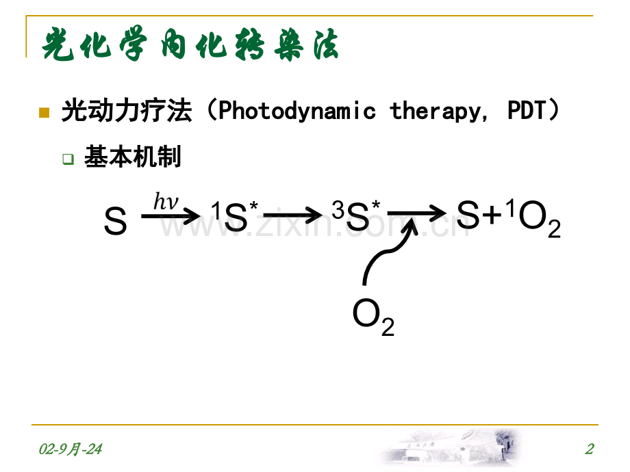 激光在基因转染和基因治疗中的应用.pptx_第2页