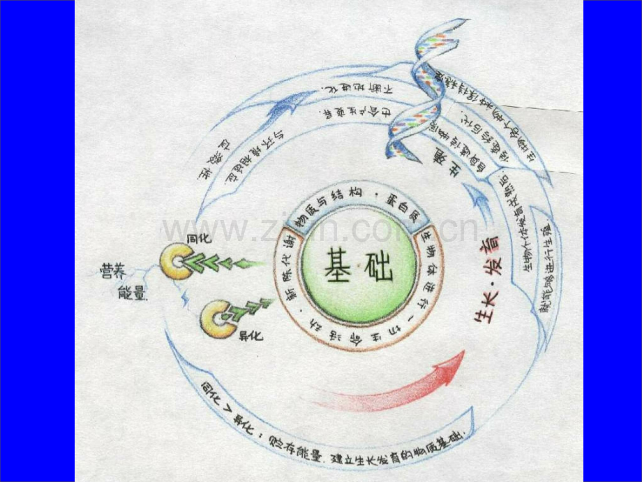 生命的物质基础2016.pptx_第1页