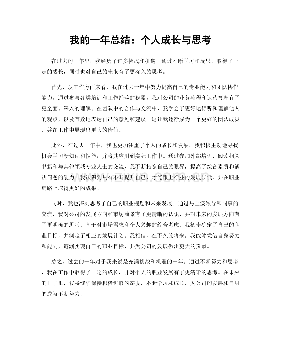 我的一年总结：个人成长与思考.docx_第1页