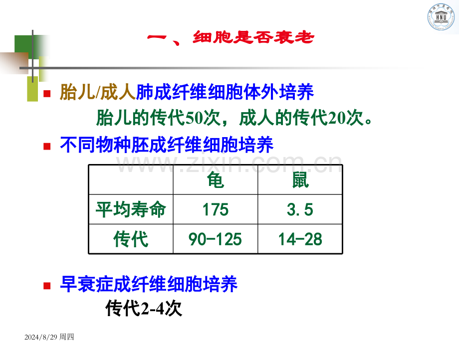 细胞生物学细胞衰老与死亡.pptx_第2页